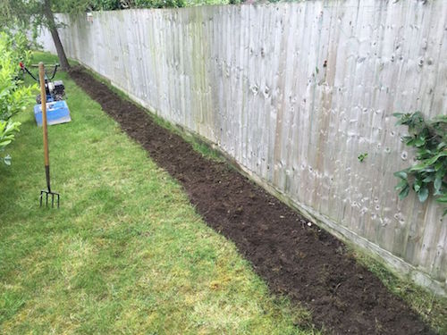 Planting Bury St Edmunds