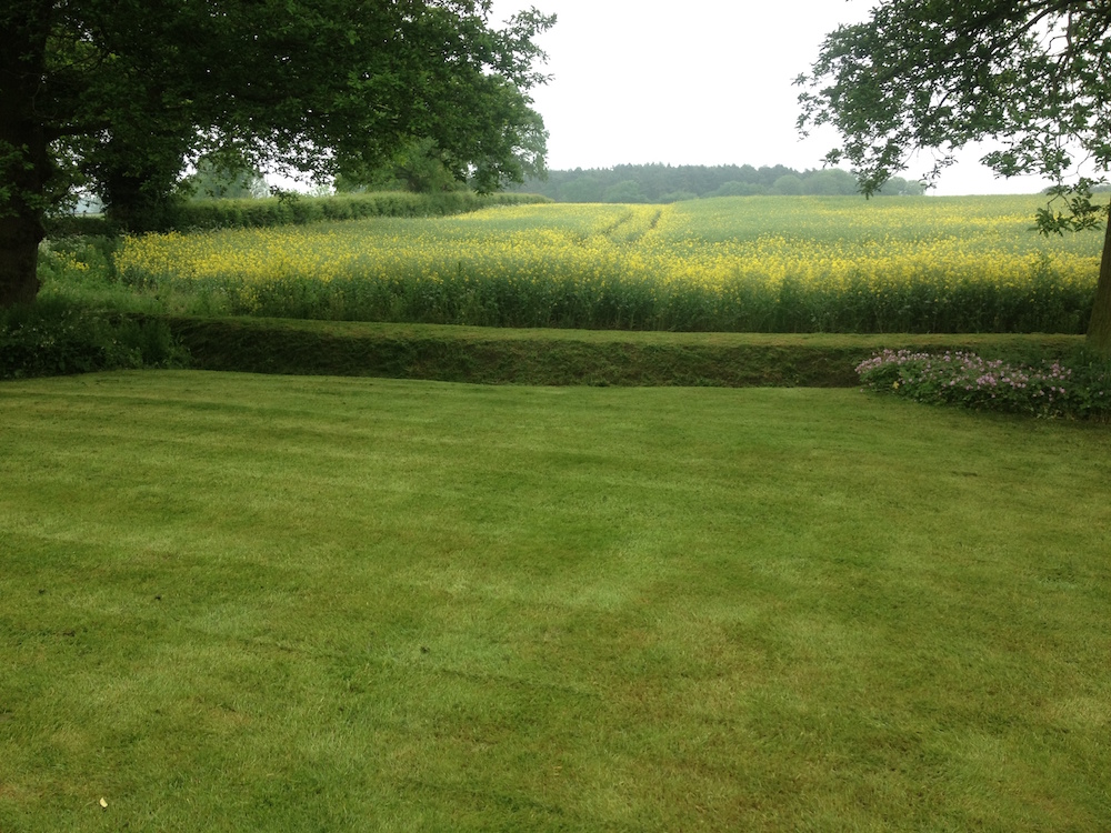 Grass Cutting Bury St Edmunds